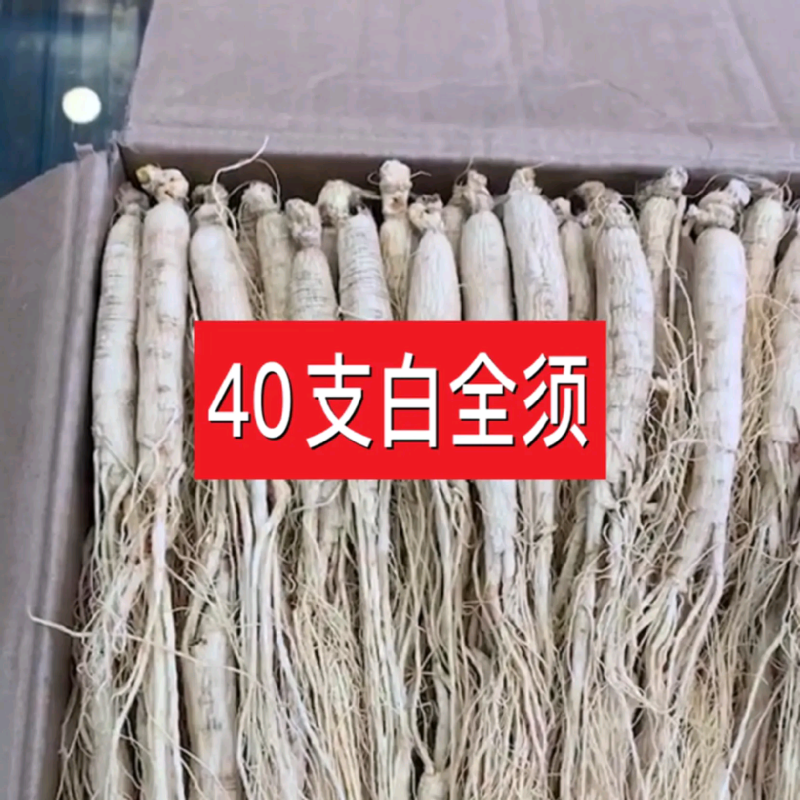 【以人为本，诚信经营】长白山干参白全须【全国包邮】
