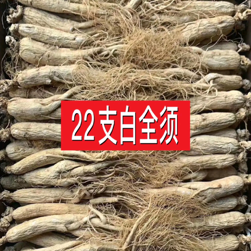 【以人为本，诚信经营】长白山干参白全须【全国包邮】