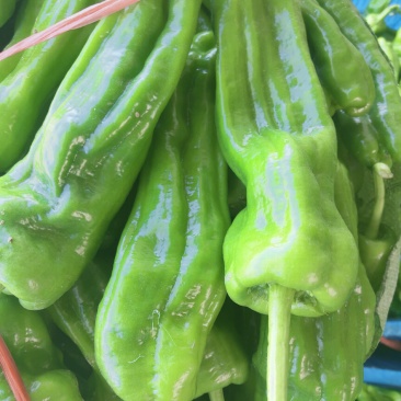 辣椒，大量上市，露天，大棚，新鲜蔬菜，产量大，品种全