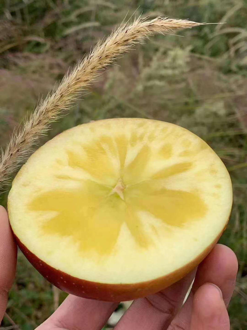 苹果新疆阿克苏苹果纯正冰糖心脆甜品质保证量大价优