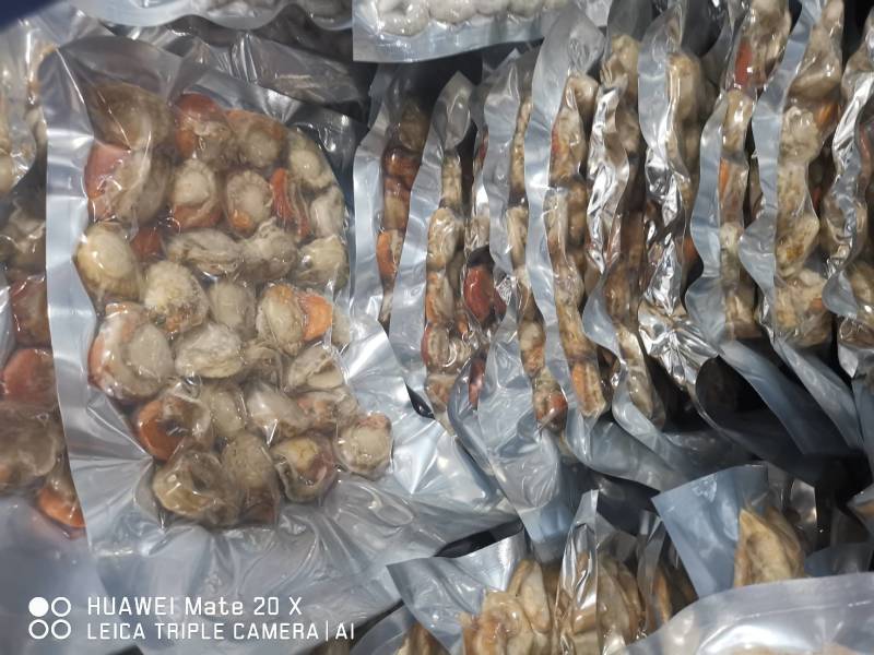 冷冻扇贝肉，带黄扇贝肉，质量请看图，