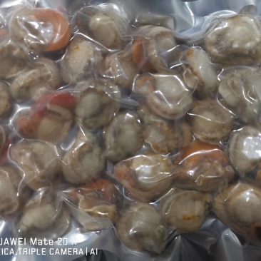 冷冻扇贝肉，带黄扇贝肉，质量请看图，