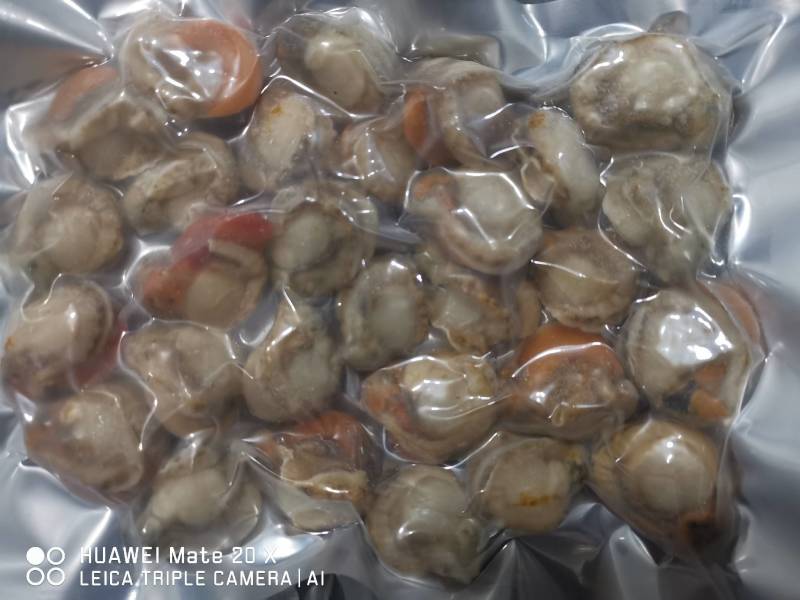 冷冻扇贝肉，带黄扇贝肉，质量请看图，