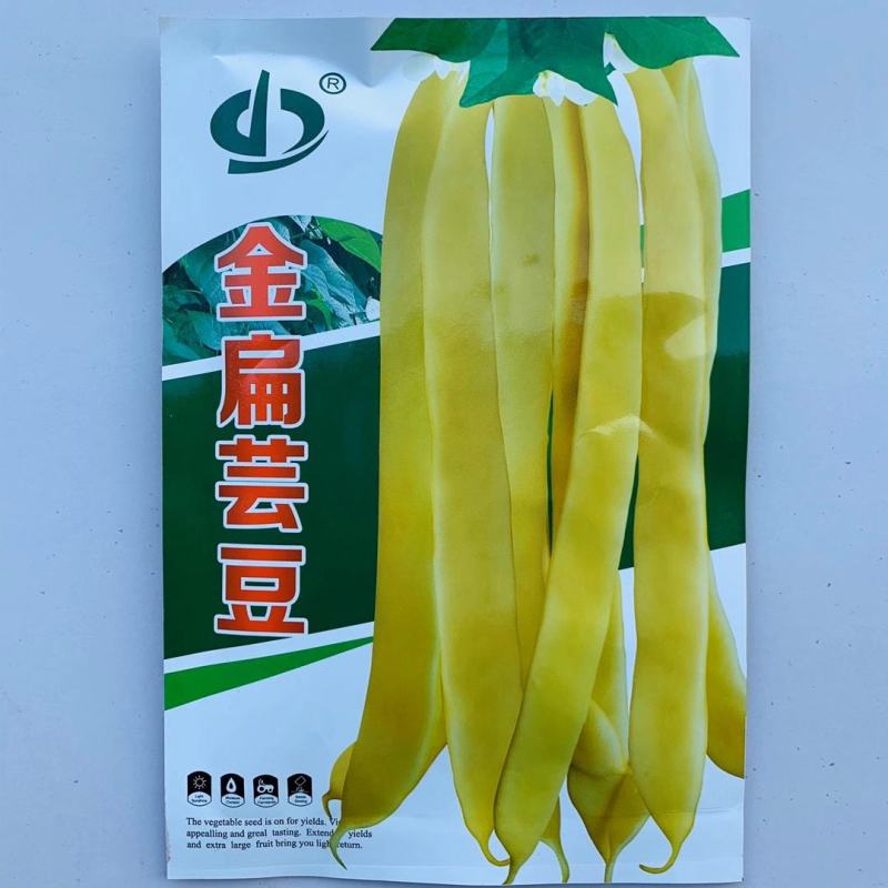 四季豆种子金扁芸豆种子嫩荚黄色果荚无筋无柴夹长肉厚不鼓粒