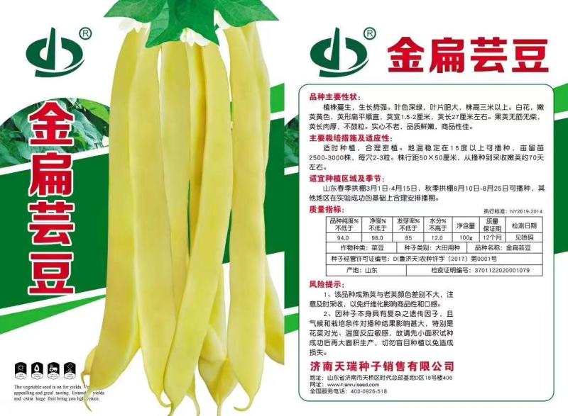 四季豆种子金扁芸豆种子嫩荚黄色果荚无筋无柴夹长肉厚不鼓粒