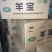国产鲜冻纯干羊宝，羊外腰，羊蛋，30斤一件，各种型号都有