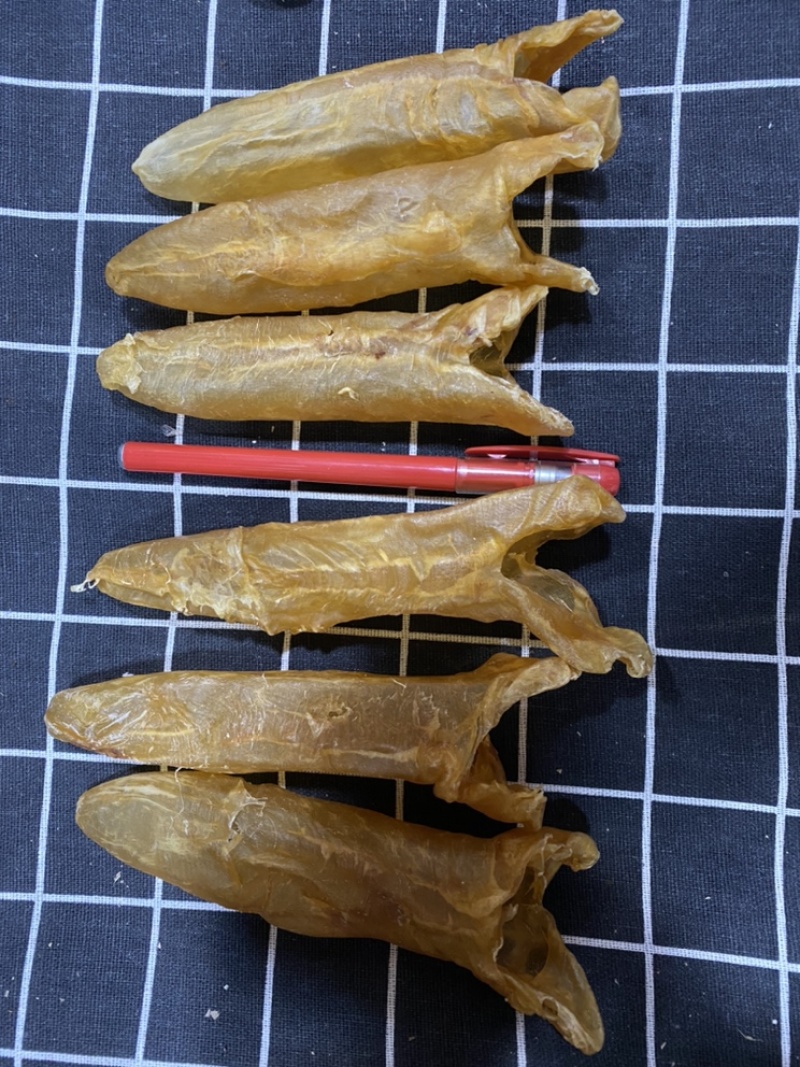非洲黄花胶25头规格