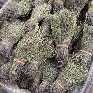 广西够含量独脚金中药材