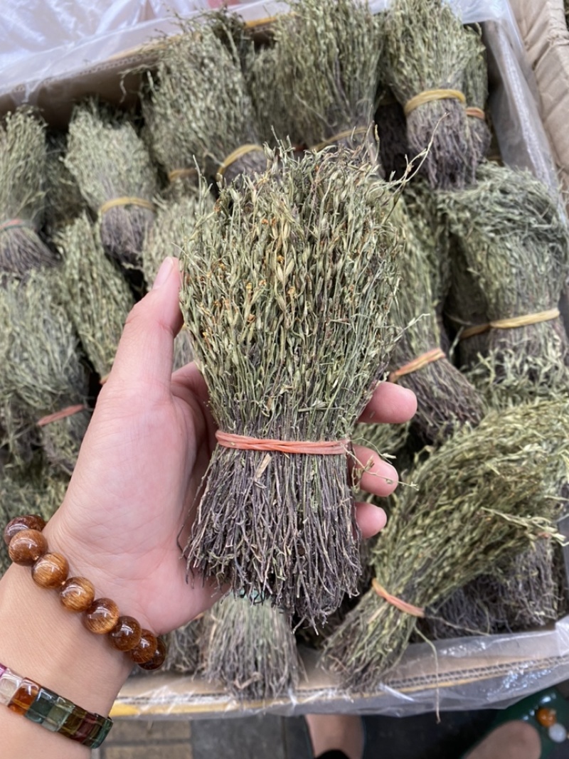 广西够含量独脚金中药材