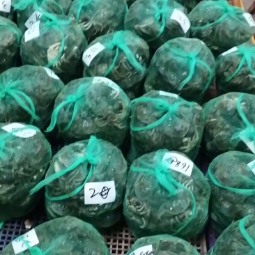 江苏大闸蟹直发硬38规格满膏满黄干净