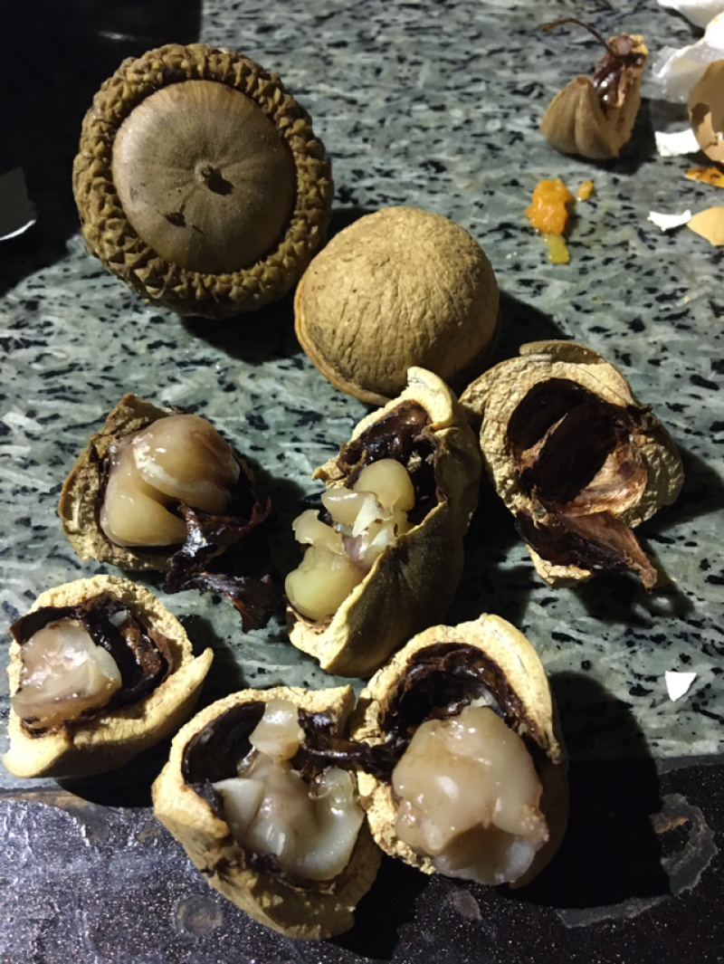益肾子（壮阳果）