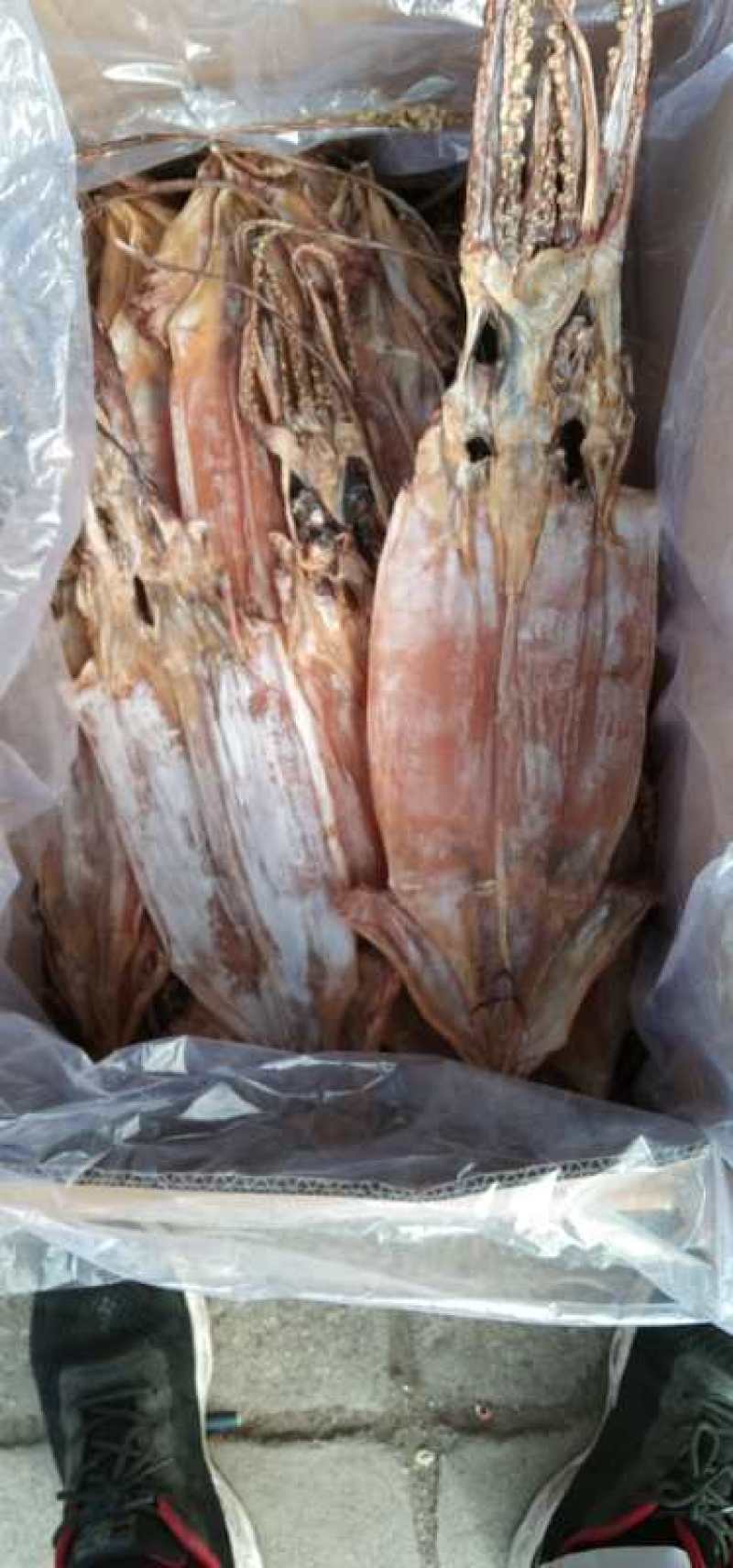 淡干鱿鱼干！厂家直销2-33-4头