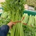河南开封通许优质芹菜大量上市了，品质**，基地直供