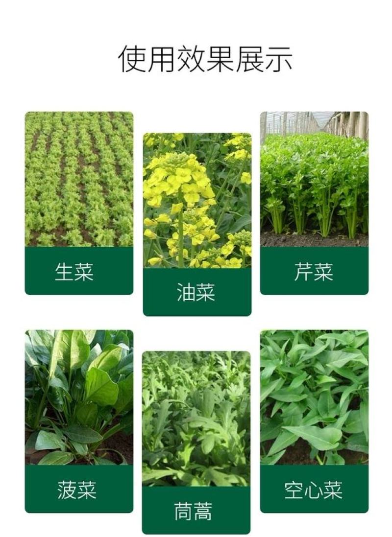 必互叶绿乐冲施滴灌灌根使用5kg/桶