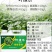 必互叶绿乐冲施滴灌灌根使用5kg/桶