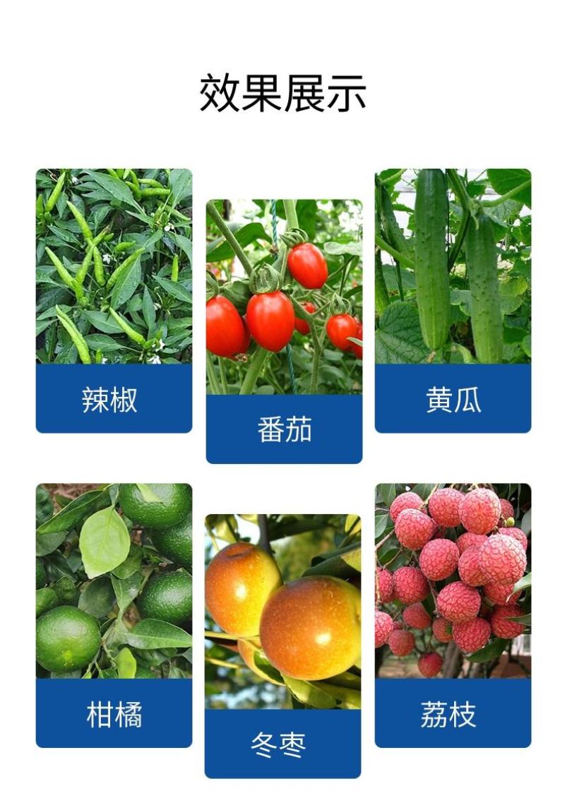 科莱茵碳基海藻聚能肥冲施滴灌灌根20kg/桶装