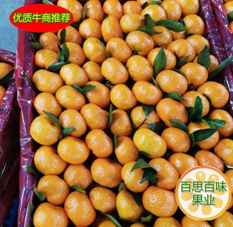 【精品】南丰蜜橘3~3.5cm果面干净口感好诚意服