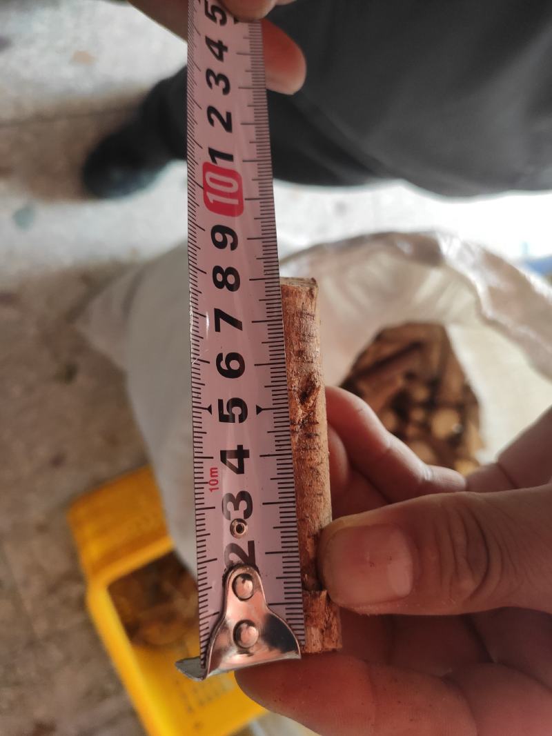 【精品包邮】五指毛桃中根干货，切段。包邮两广地区。