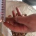 【精品包邮】五指毛桃中根干货，切段。包邮两广地区。