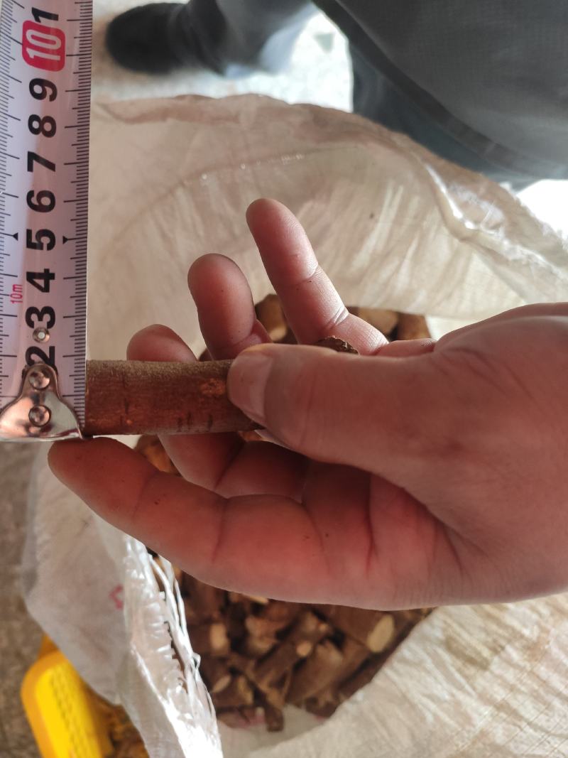 【精品包邮】五指毛桃中根干货，切段。包邮两广地区。
