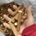 【精品包邮】五指毛桃中根干货，切段。包邮两广地区。