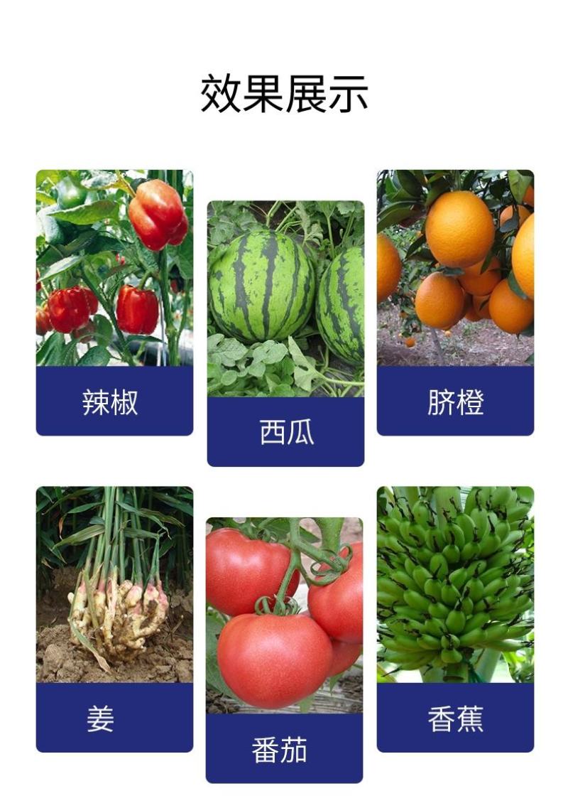 深海鱼肽蛋白桶肥含氨基酸水溶肥料生根提苗改善品质