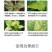 钙加镁中量元素水溶肥料防病抗菌增产增收