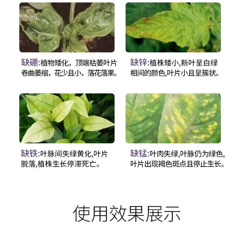 钙加镁中量元素水溶肥料防病抗菌增产增收