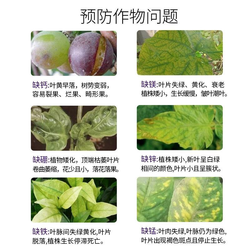 钙加镁中量元素水溶肥料防病抗菌增产增收