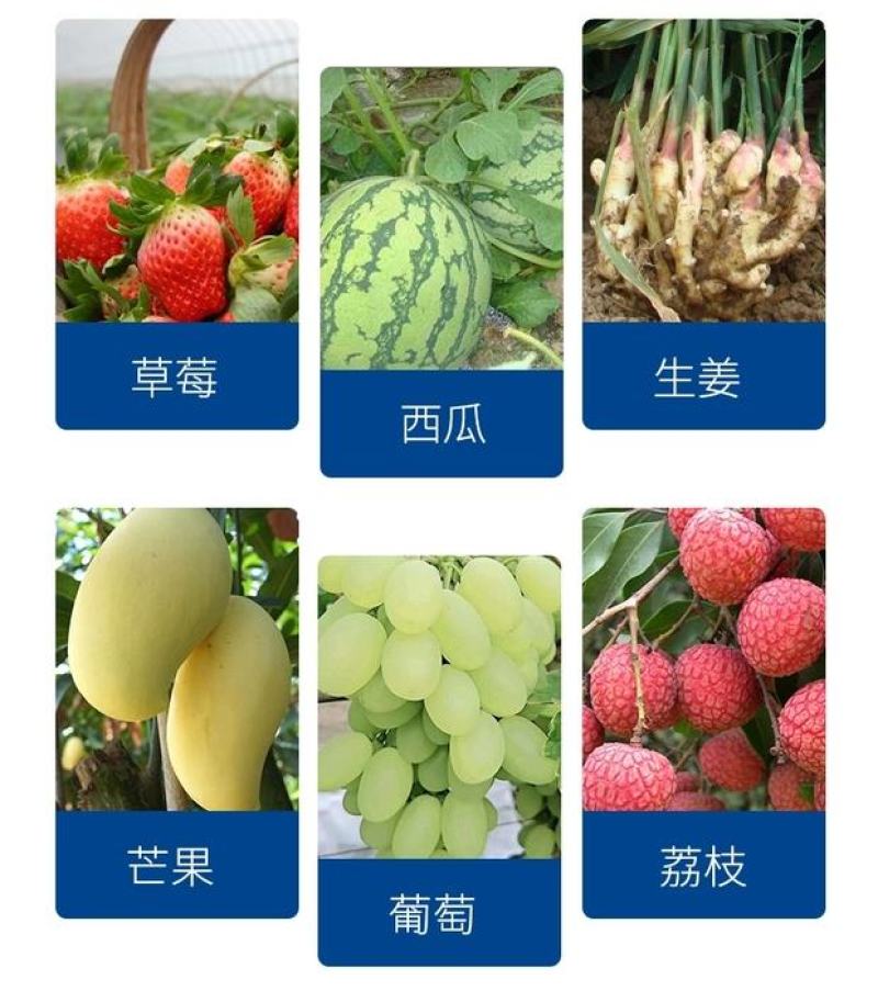 必互鱼肽蛋白浓缩液1000ml多聚磷酸酐
