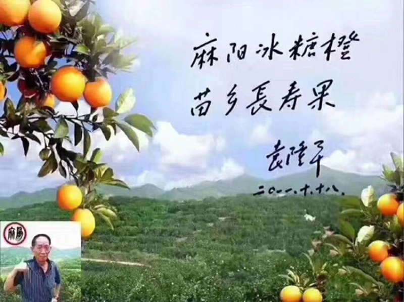 麻阳冰糖橙，中国长寿之乡麻阳冰糖橙