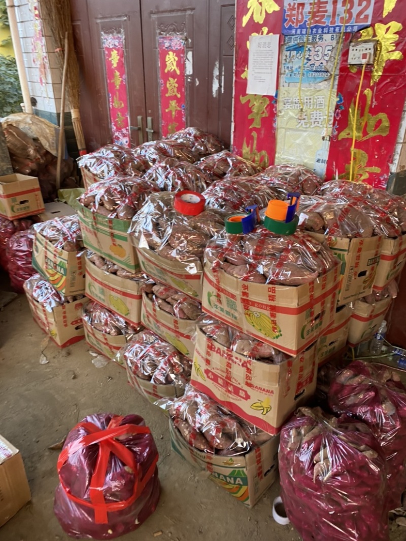 【零售价链接批发勿拍】南阳西瓜红红薯沙土红薯软糯香甜