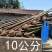 包邮香樟树庭院园林大型工程绿化苗木四季常青大叶小樟树大树