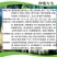 栀子花苗庭院工程四季常青浓香型大叶树苗园林绿化苗木花卉植