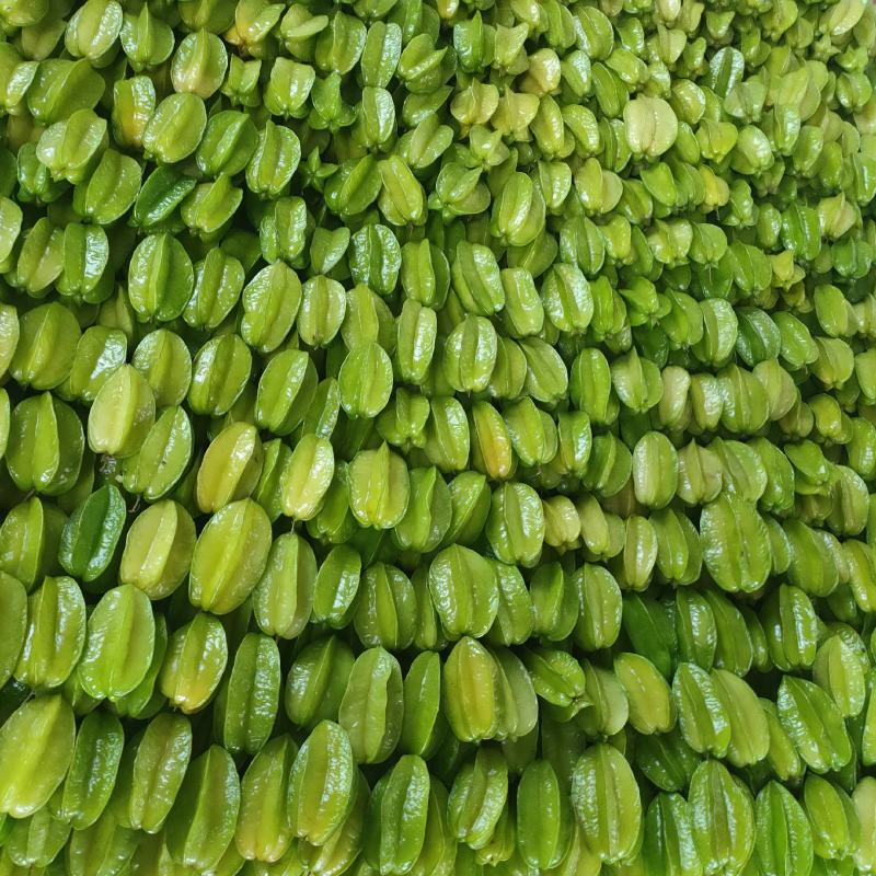 香蜜杨桃大量供货