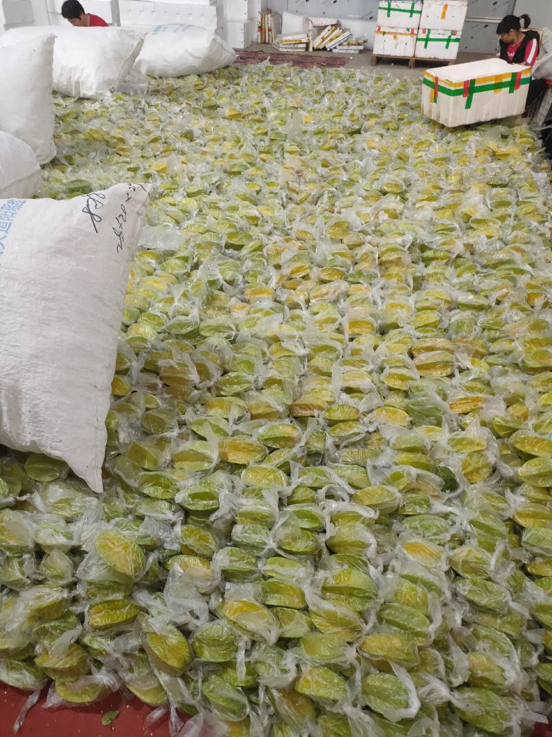 香蜜杨桃大量供货