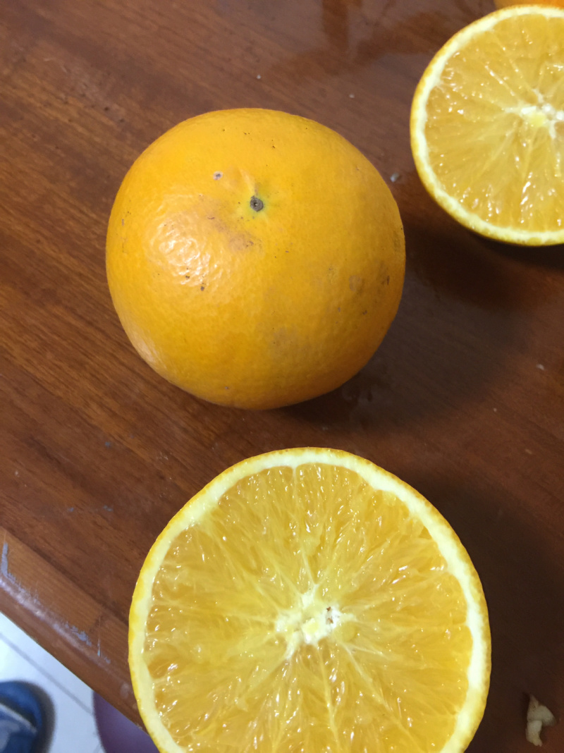 脐橙