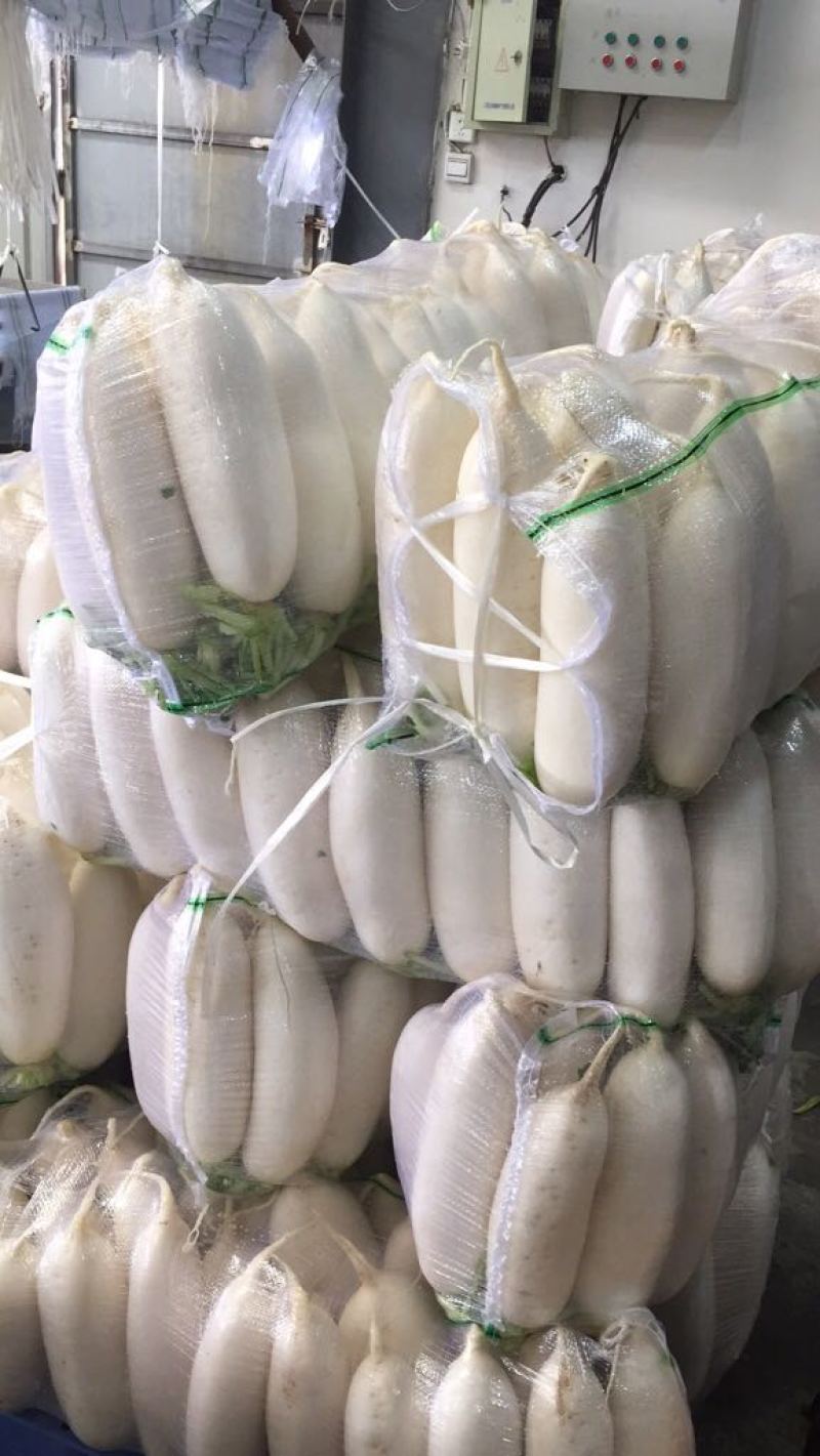 白萝卜打包清洗看货论价全国发货保质保量供货稳定