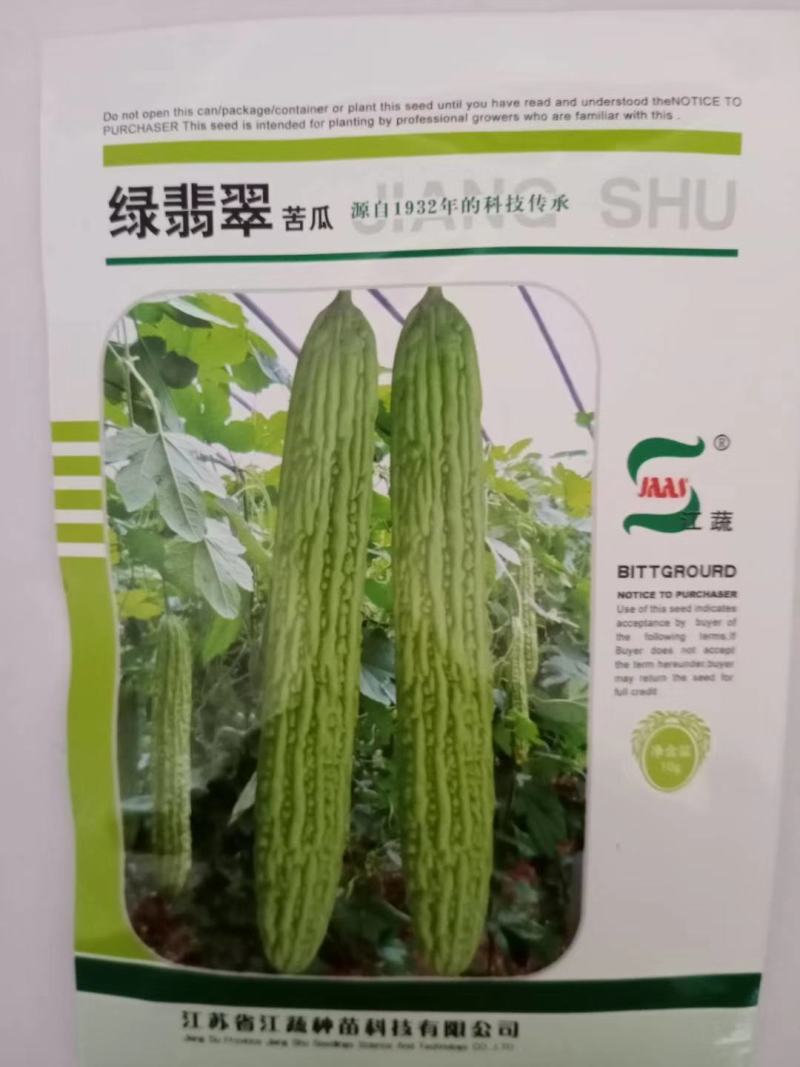 金典1号大肉苦瓜品种翠玉大田专用品种种子