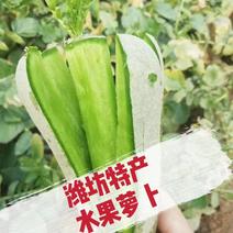 潍县萝卜，青萝卜，精品包装小工齐全一条龙服务，产地直发