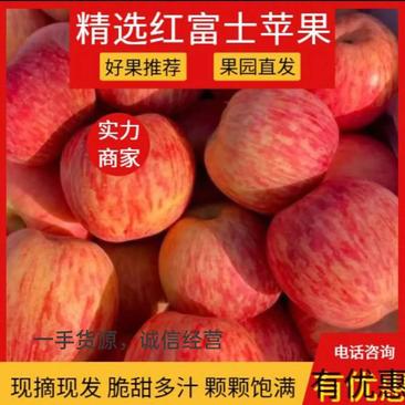 【优选苹果】红富士批发山东苹果产地一手货源脆甜