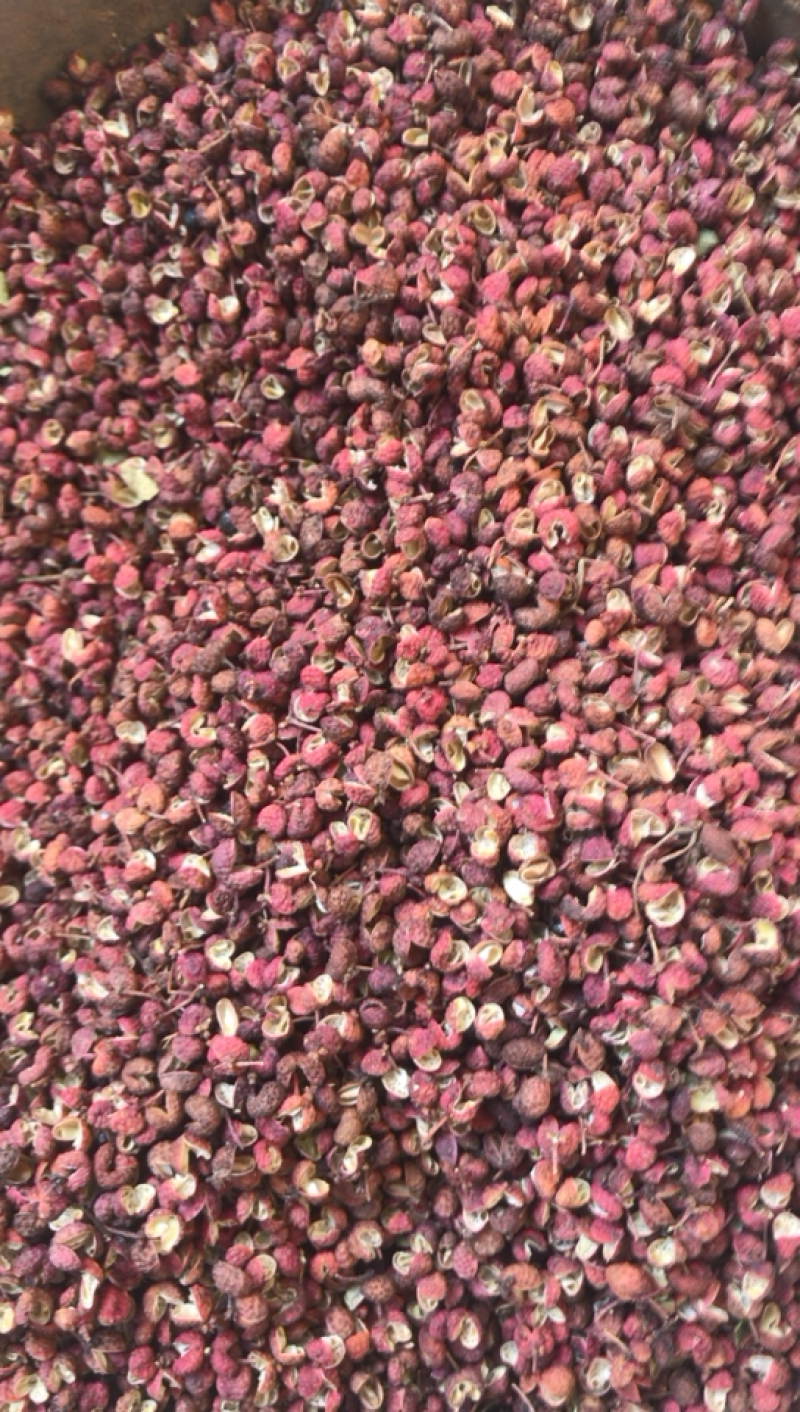 山东大红袍花椒，红花椒，产区直销，纯净货，一手货源