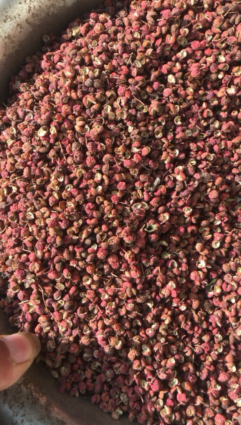 山东大红袍花椒，红花椒，产区直销，纯净货，一手货源