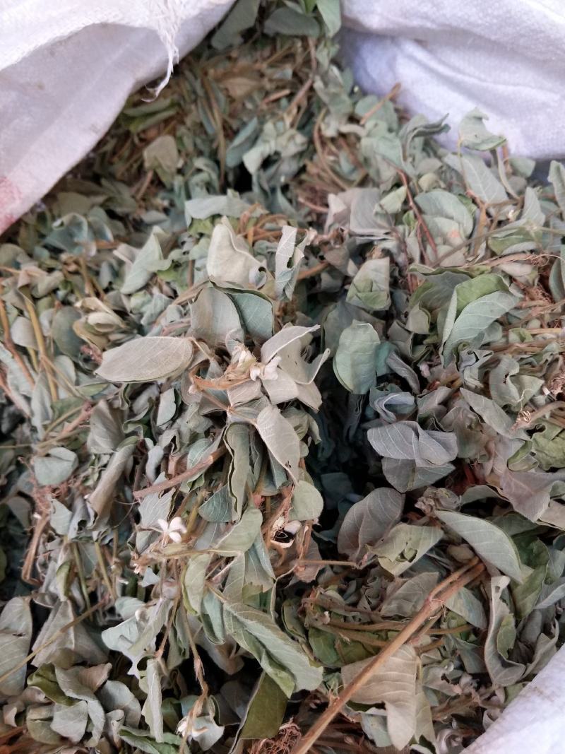野生金钱草扎把新货，颜色青绿，货源充足，可全国发货