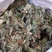 野生金钱草扎把新货，颜色青绿，货源充足，可全国发货