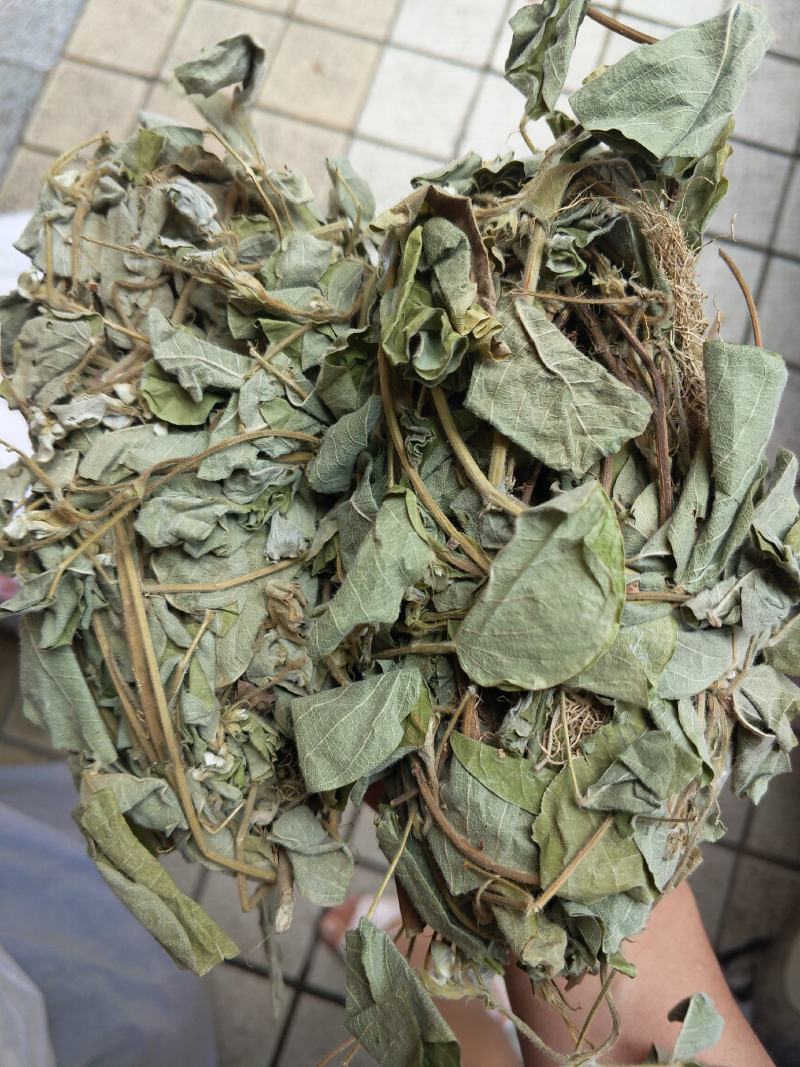 野生金钱草扎把新货，颜色青绿，货源充足，可全国发货