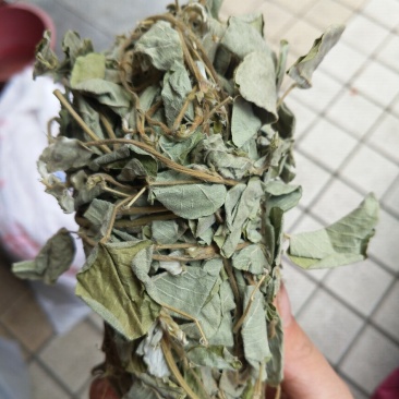 野生金钱草扎把新货，颜色青绿，货源充足，可全国发货