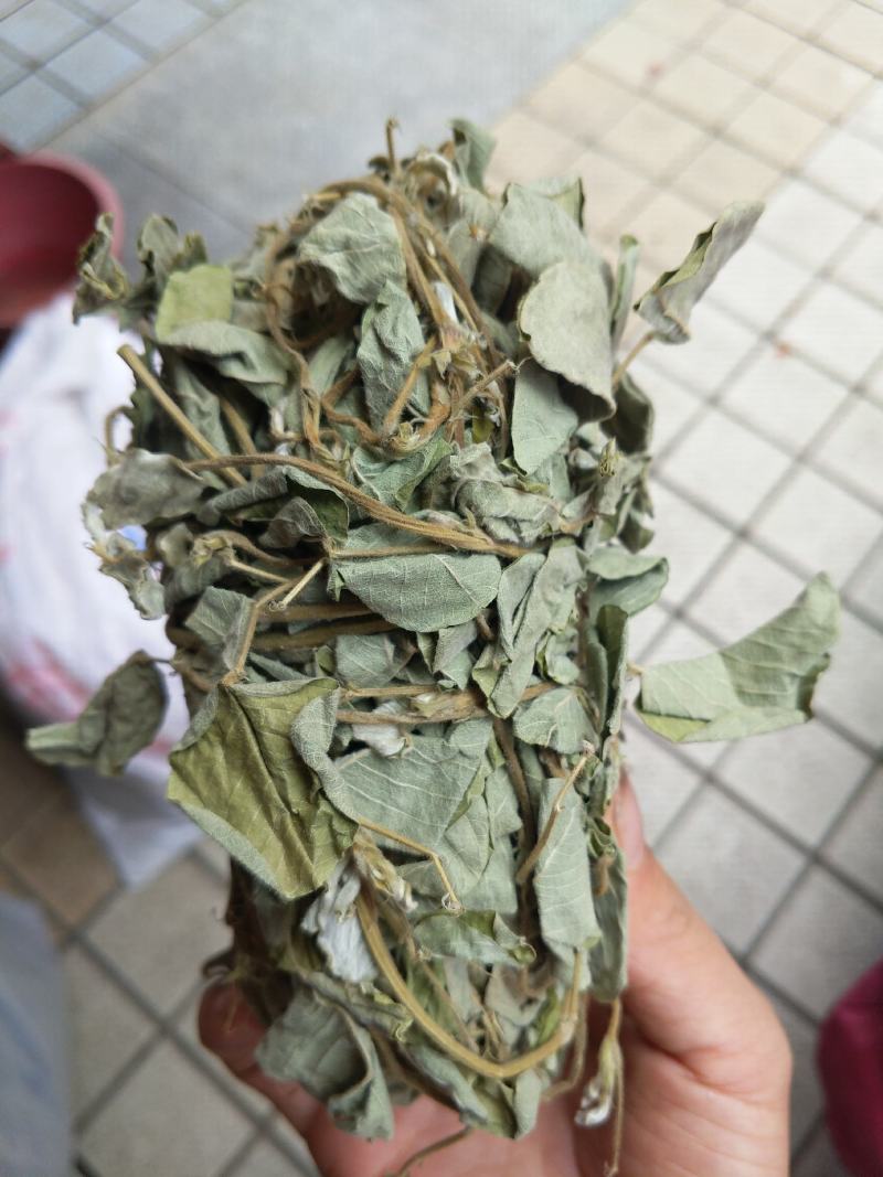 野生金钱草扎把新货，颜色青绿，货源充足，可全国发货