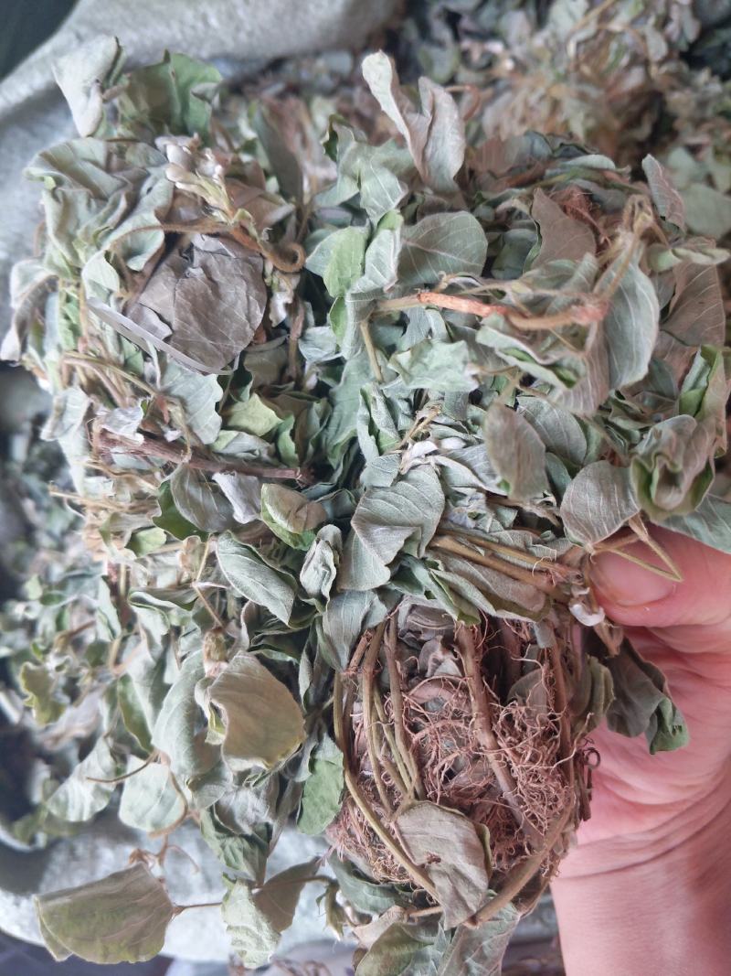 野生金钱草扎把新货，颜色青绿，货源充足，可全国发货