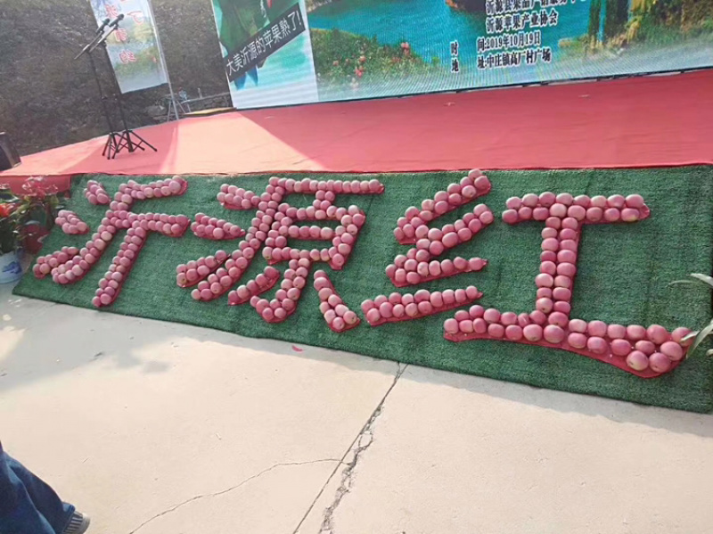 个大味美香甜可口颜色鲜艳的富士苹果